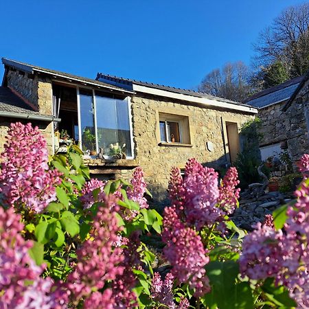 Bed and Breakfast La Bouletiere Dourbies Exterior foto